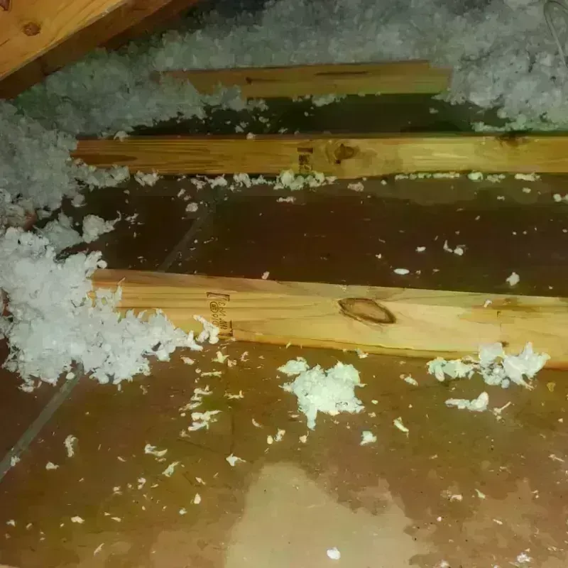 Attic Water Damage in Runnemede, NJ