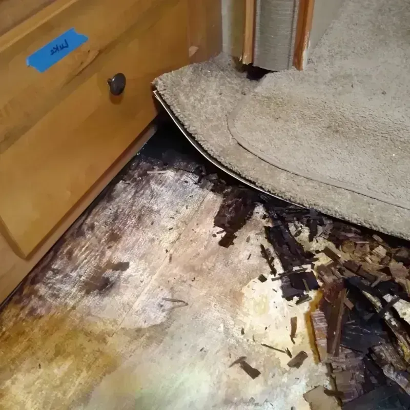 Wood Floor Water Damage in Runnemede, NJ